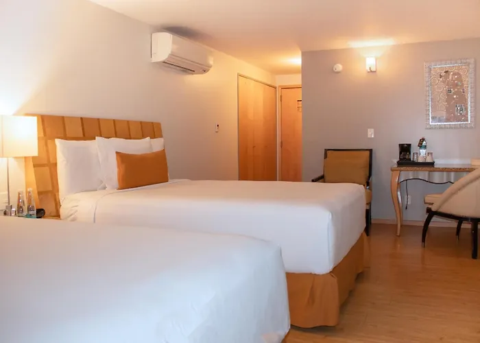 Alteza Polanco Hotel
