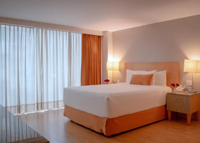 Hotel Alteza Polanco 4*