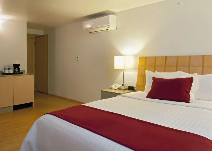 Hotel Alteza Polanco 4*