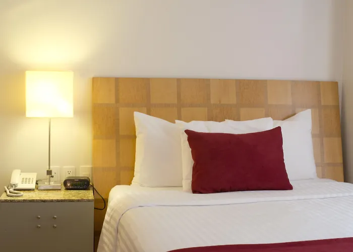 Hotel Alteza Polanco 4*
