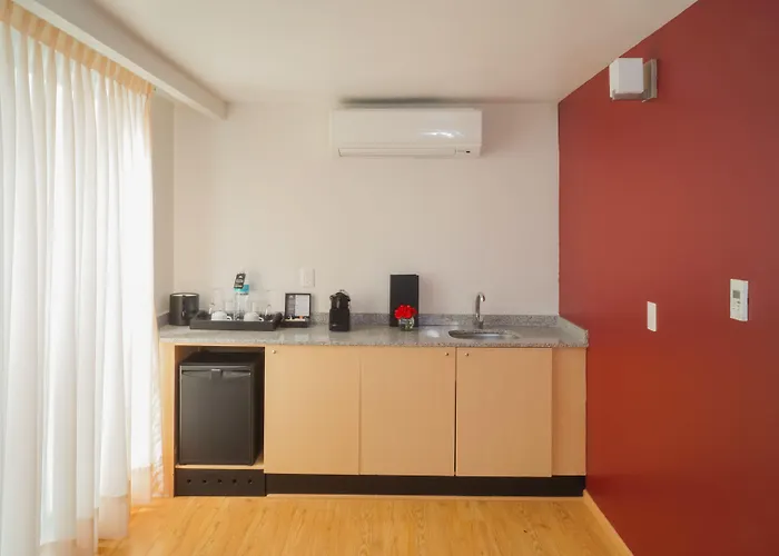 Alteza Polanco Hotel 4*