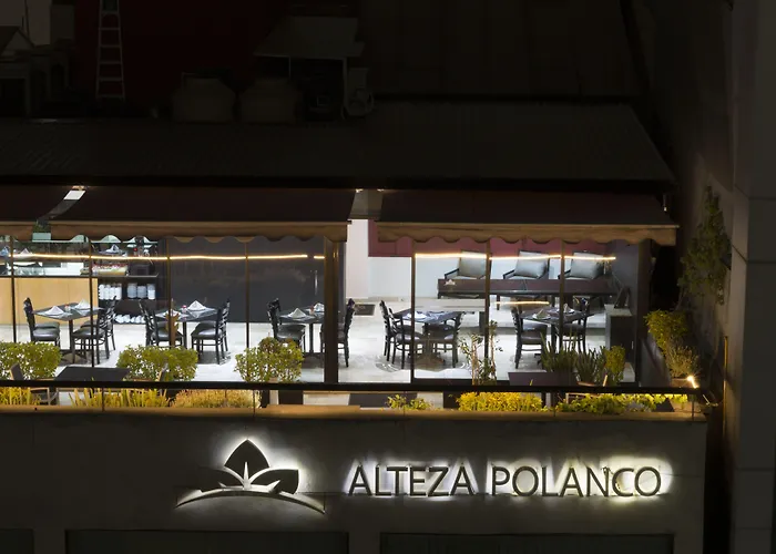 Hotel Alteza Polanco 4*