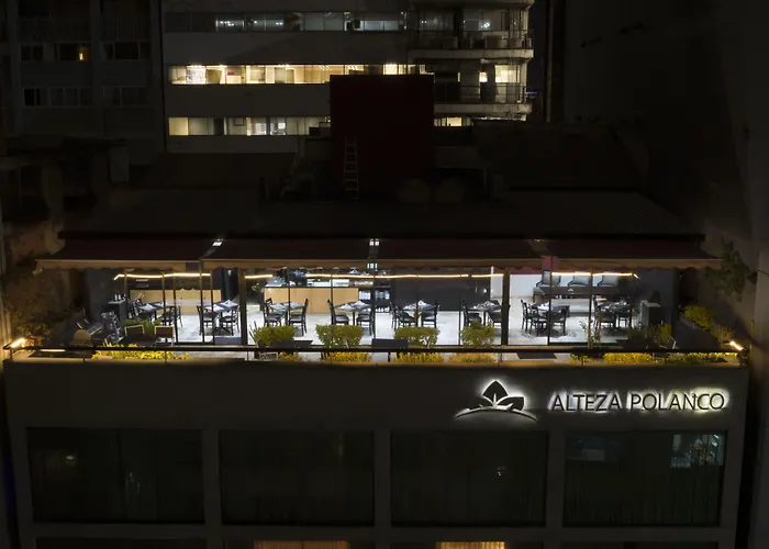 Alteza Polanco Hotel 4*